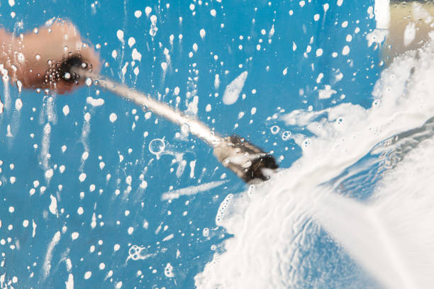 Best Animal Enclosure Cleaning  in Potterville, MI